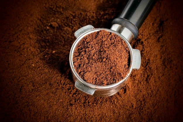 First Light (Light Roast)